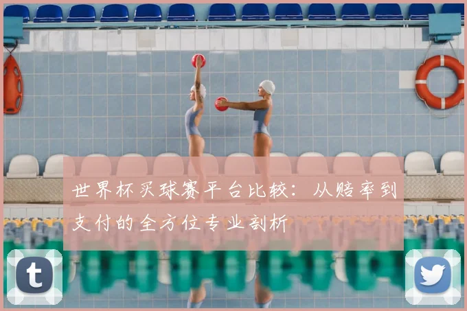世界杯买球赛平台比较：从赔率到支付的全方位专业剖析