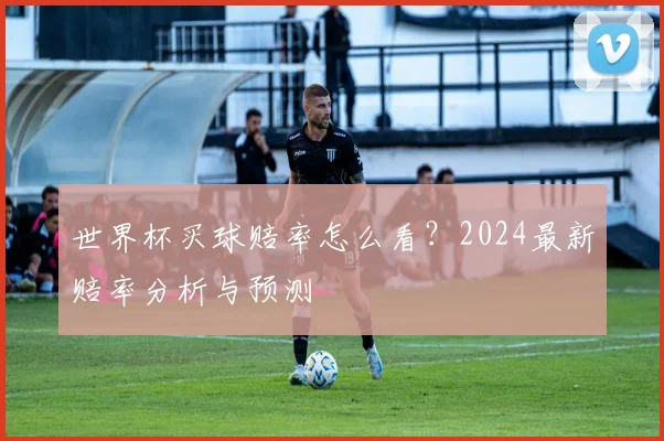 世界杯买球赔率怎么看？2024最新赔率分析与预测