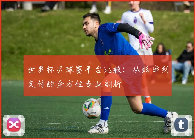 世界杯买球赛平台比较：从赔率到支付的全方位专业剖析