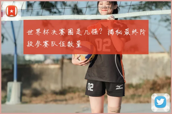 世界杯决赛圈是几强?揭秘最终阶段参赛队伍数量