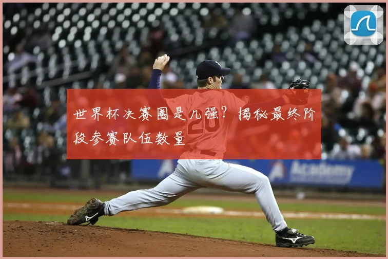 世界杯决赛圈是几强?揭秘最终阶段参赛队伍数量