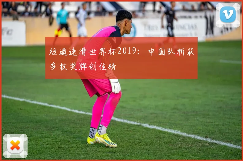 短道速滑世界杯2019:中国队斩获多枚奖牌创佳绩